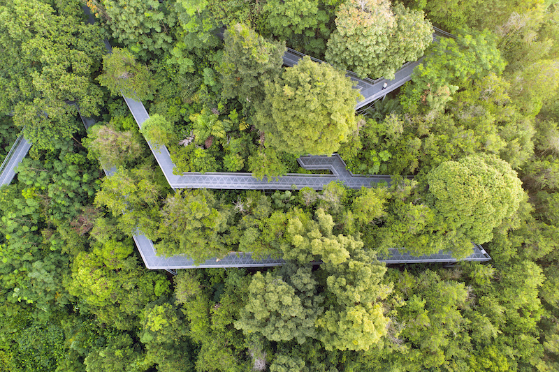 Southern Ridges Walk Singapore