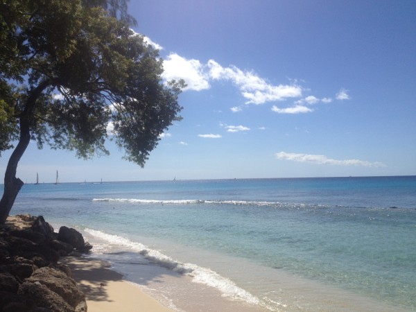 The beach at The Club Barbados