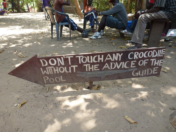 Kachikally Crocodile Pool The Gambia