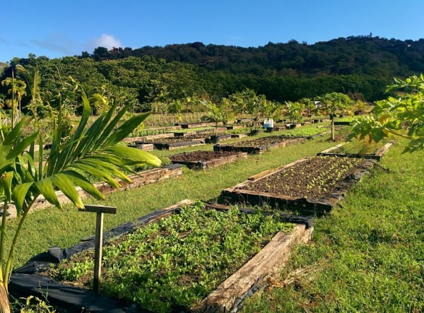 Galley Bay Resort