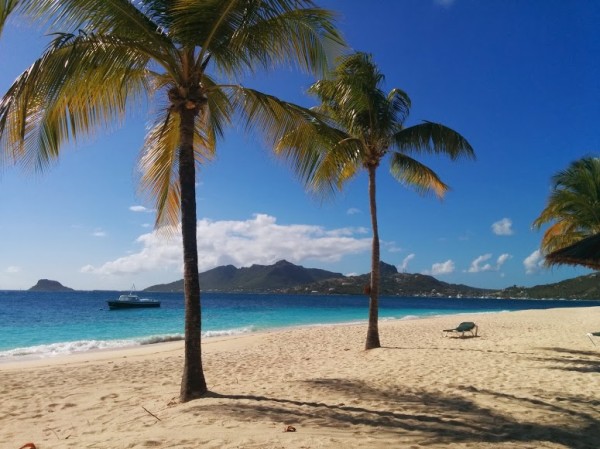 First glimpse of Palm Island