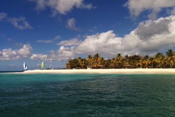 First glimpse of Palm Island