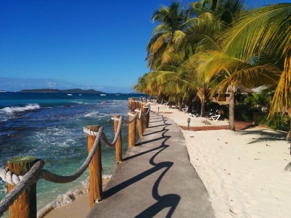 First glimpse of Palm Island