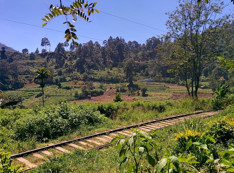 Hiking Ella Rock in Sri Lanka