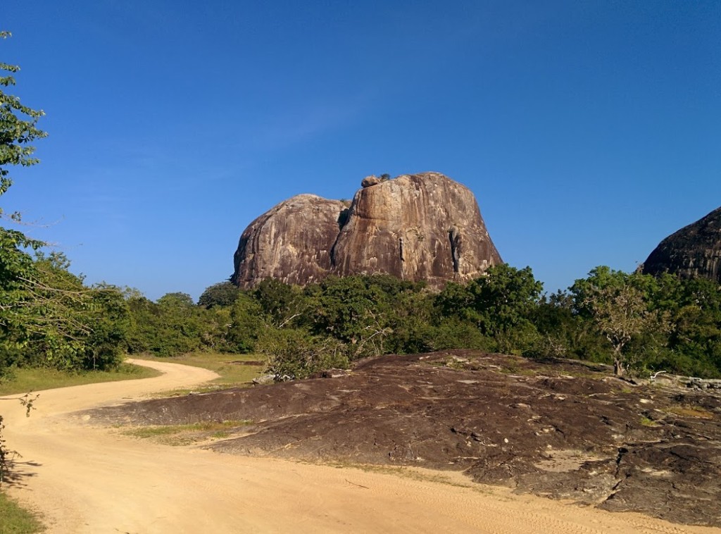 Leopard Safaris Yala National Park Sri Lanka