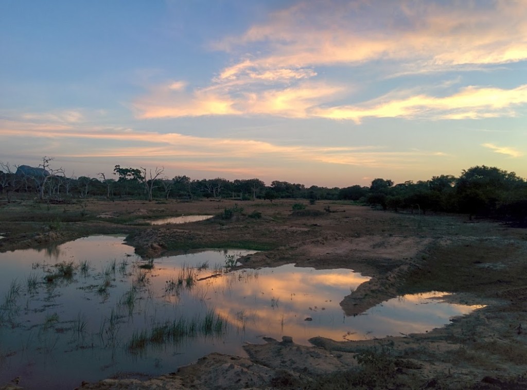 Yala National Park