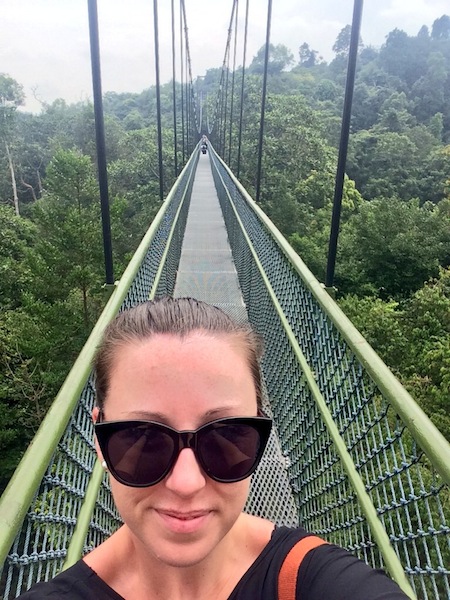 MacRitchie free-standing suspension bridge