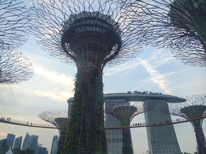 Gardens By The Bay Singapore