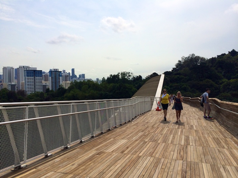 Crossing Henderson Waves - Singapore's highest pedestrian bridge