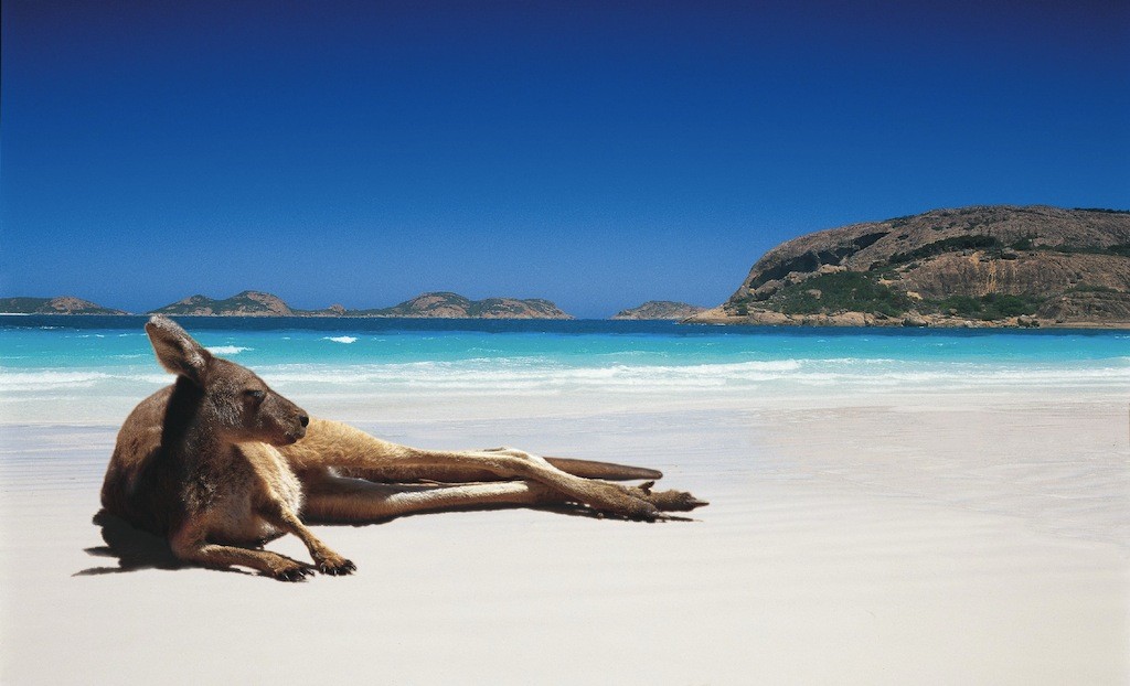 Australia bucket list - Lucky Bay, WA