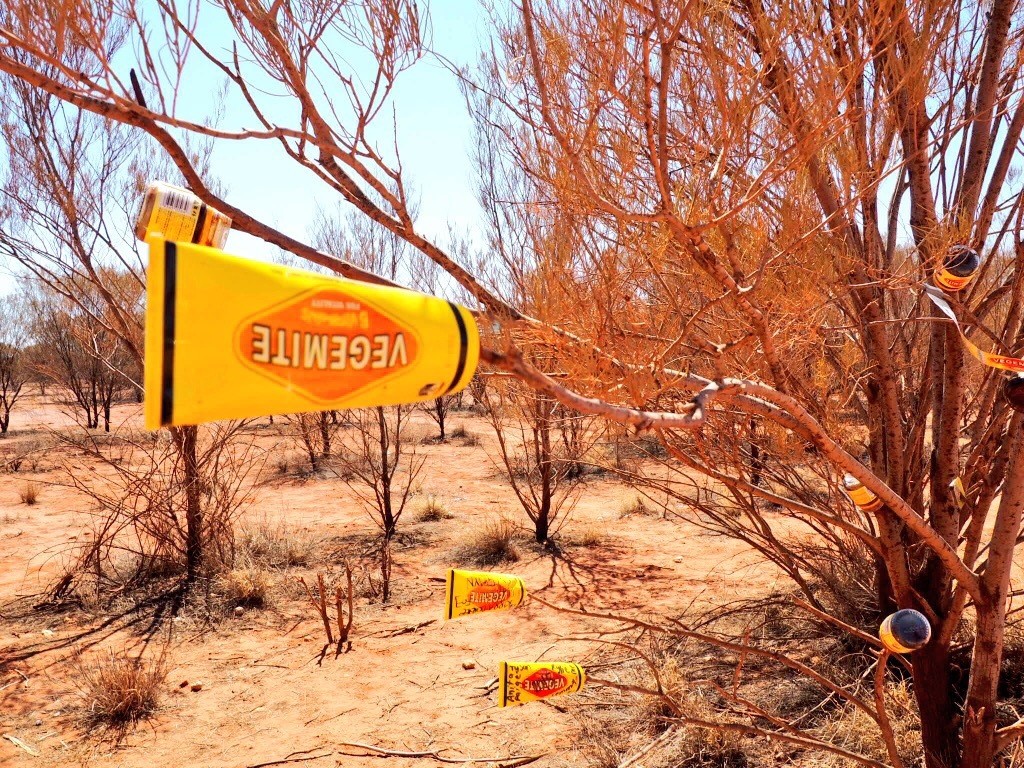 Apparently Vegemite grows on trees