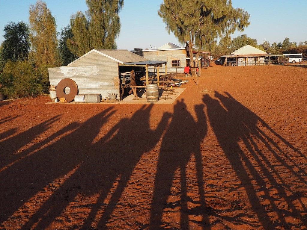 The tour ends with breakfast back at the Camel Farm 