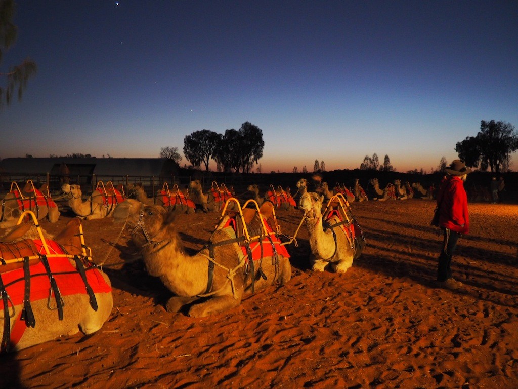 Our ride waits patiently under the stars