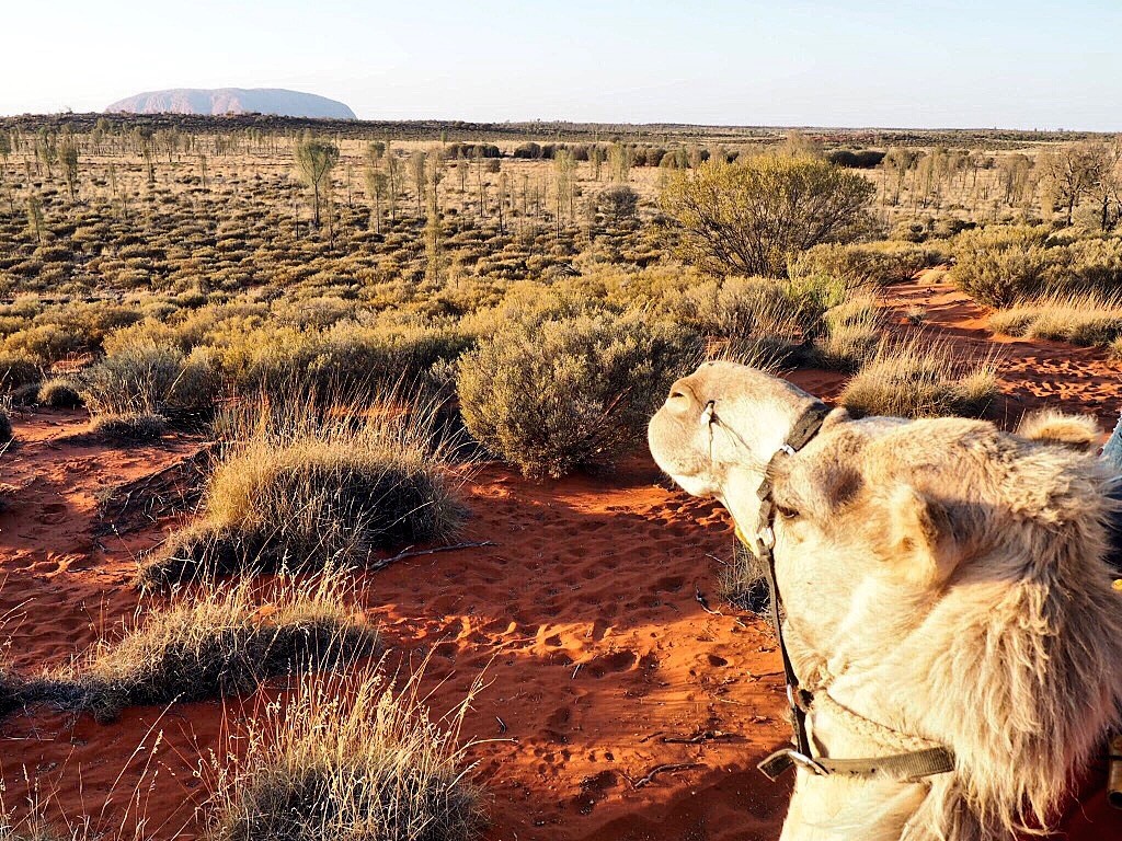 best things to do in Uluru