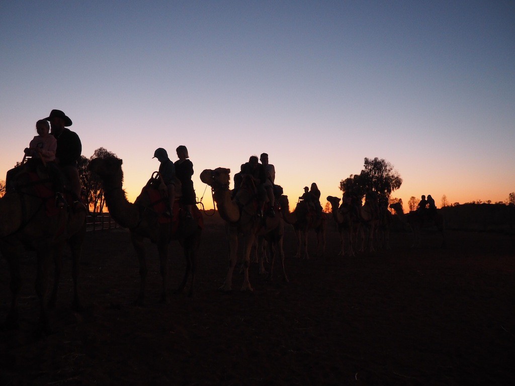 best things to do in Uluru