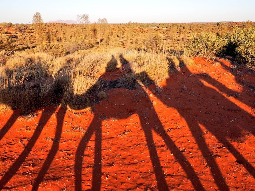 best things to do in Uluru