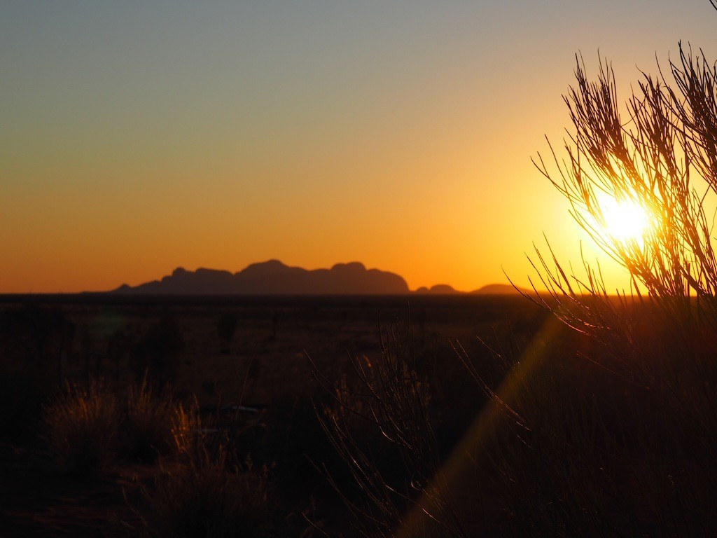 best things to do in Uluru