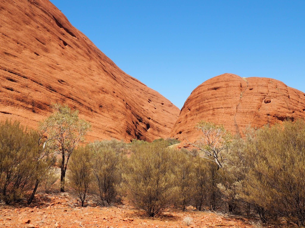 Studying the rocks on Valley of the Winds walk at Kata Tjuta