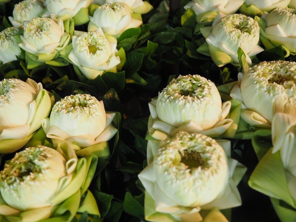 Bangkok Flower Market