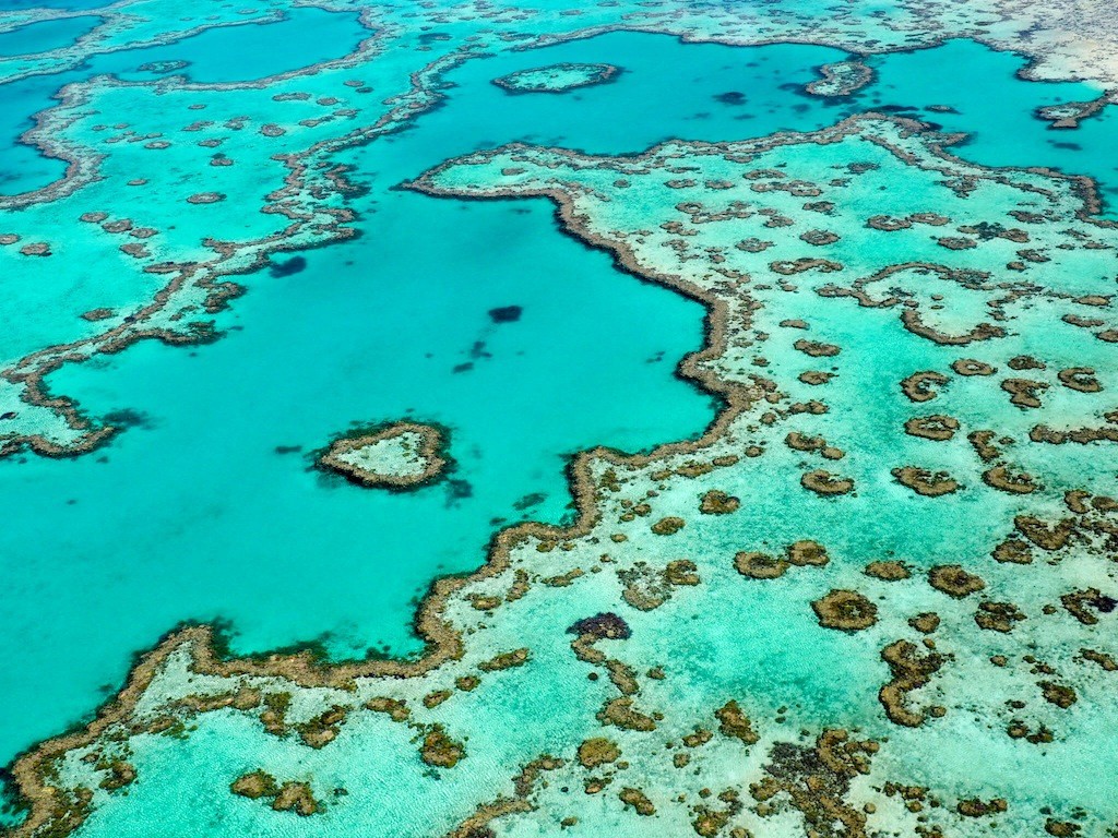 Heart Reef - the most photographed & famous section of the Great Barrier Reef is a short distance from Reef World.