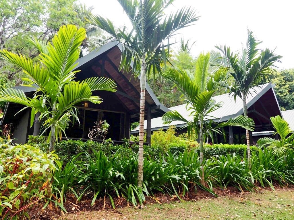 Jungle chic Palm Bungalows