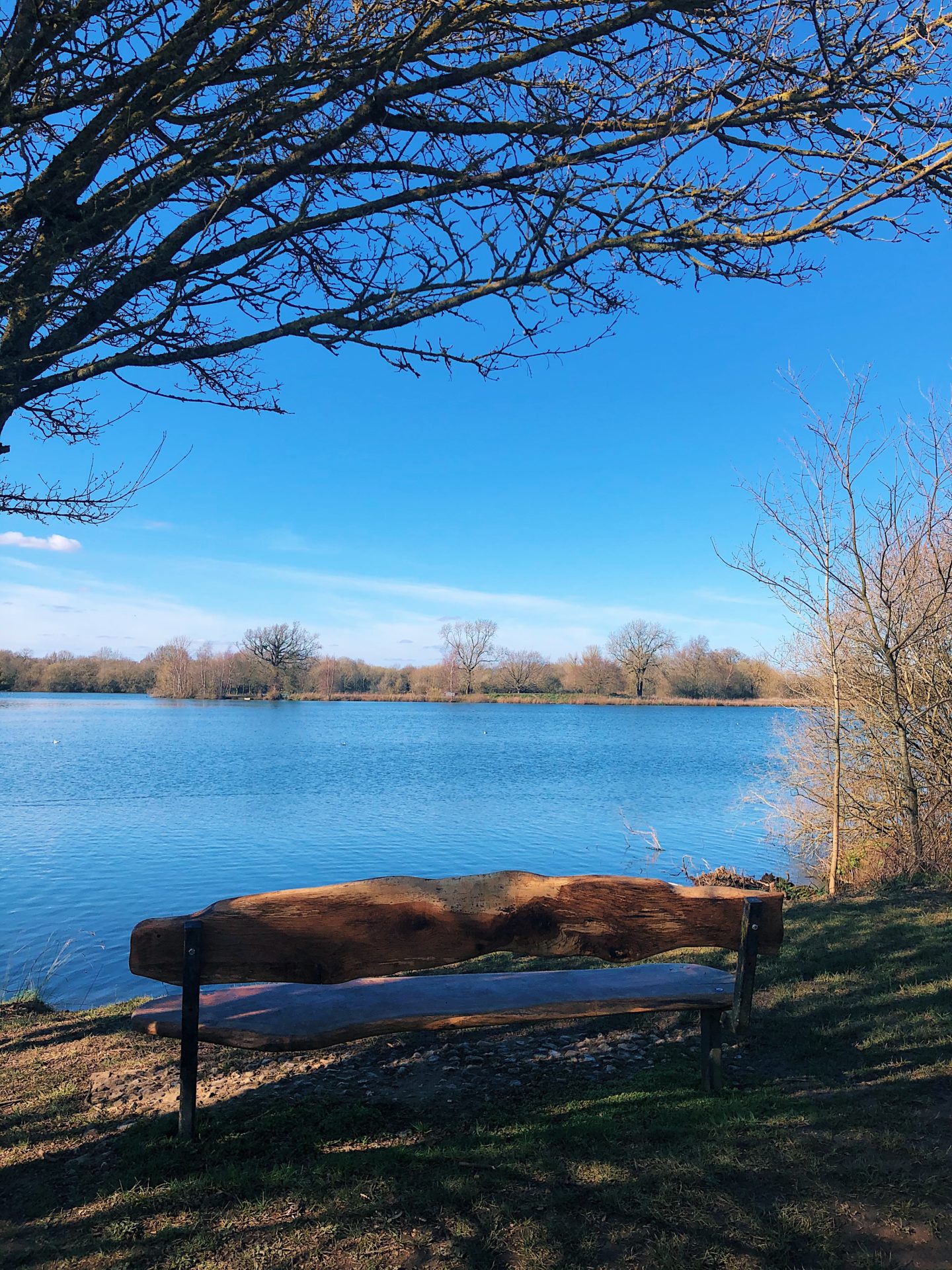 Dinton Pastures Country Park