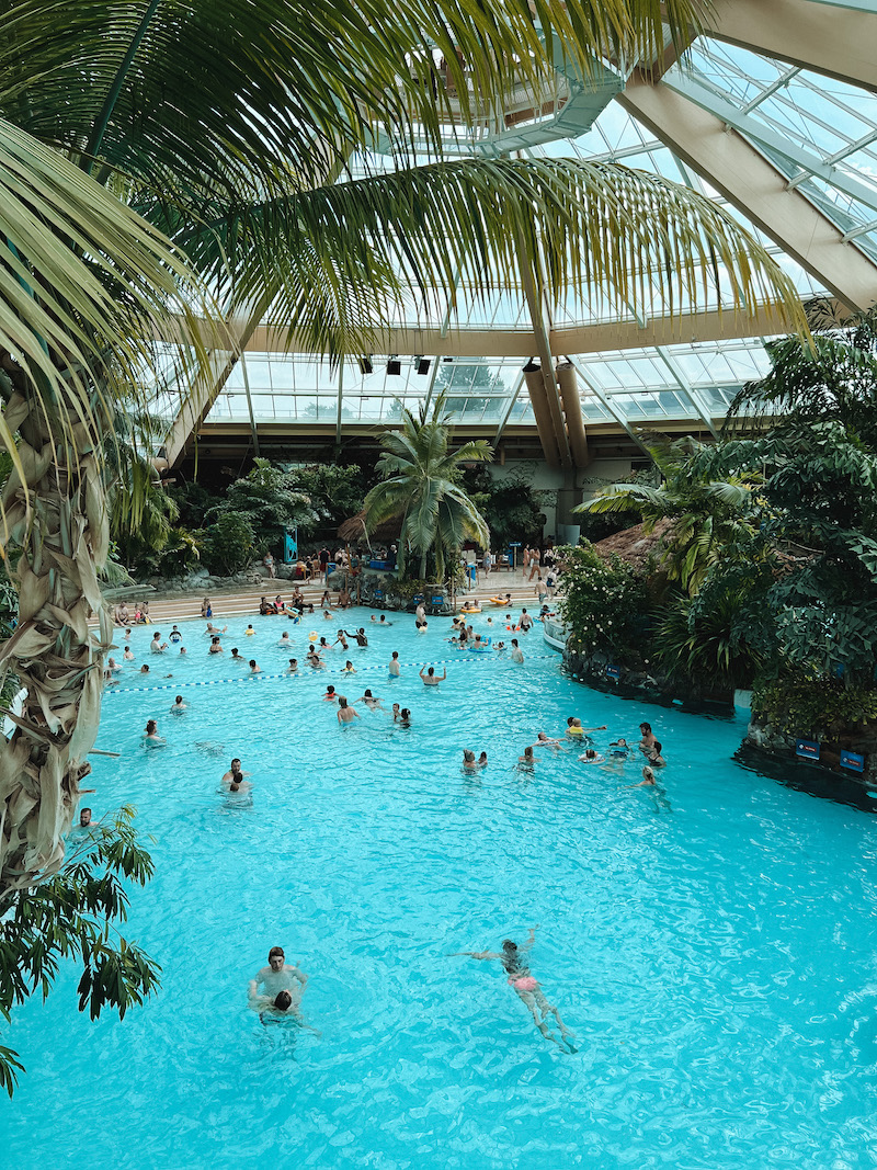 Subtropical Swimming Paradise Elvedon Forest