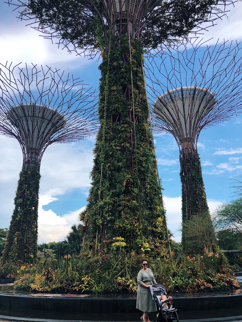 Supertree Grove Gardens By The Bay