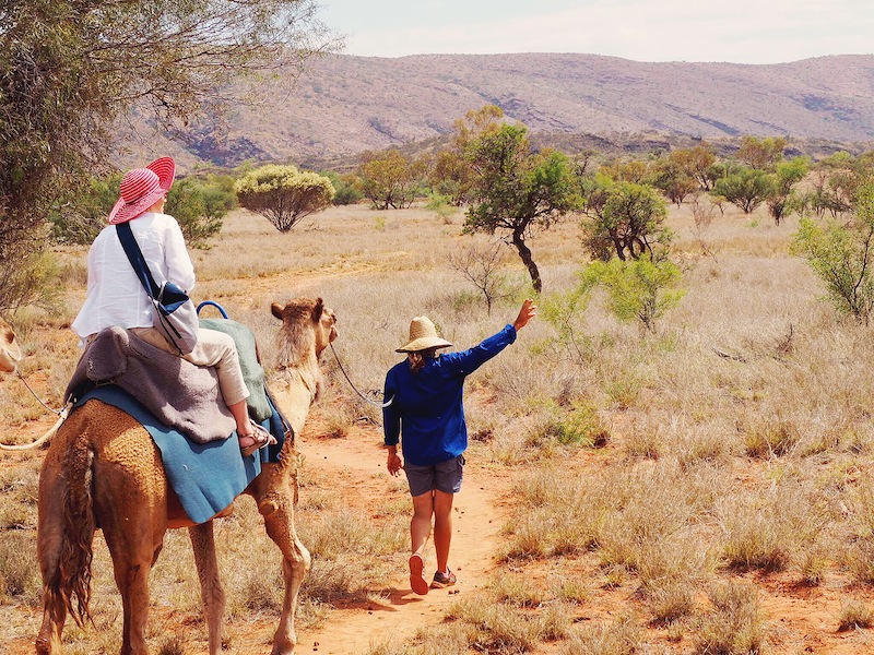 Pyndan Camel Tracks