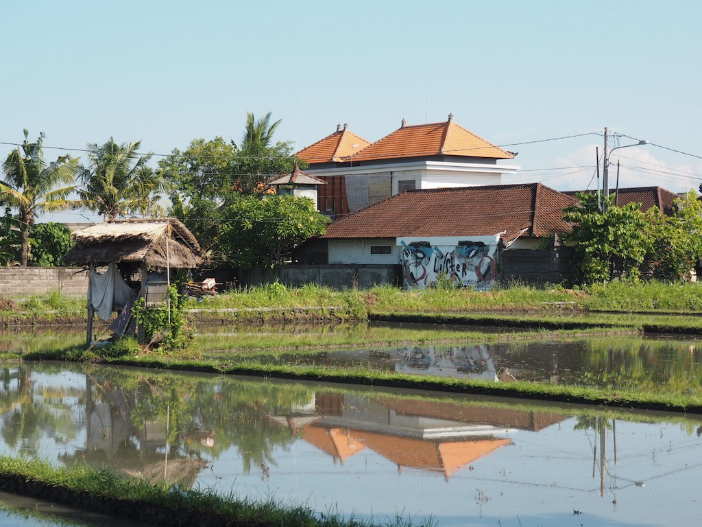 Canggu Bali