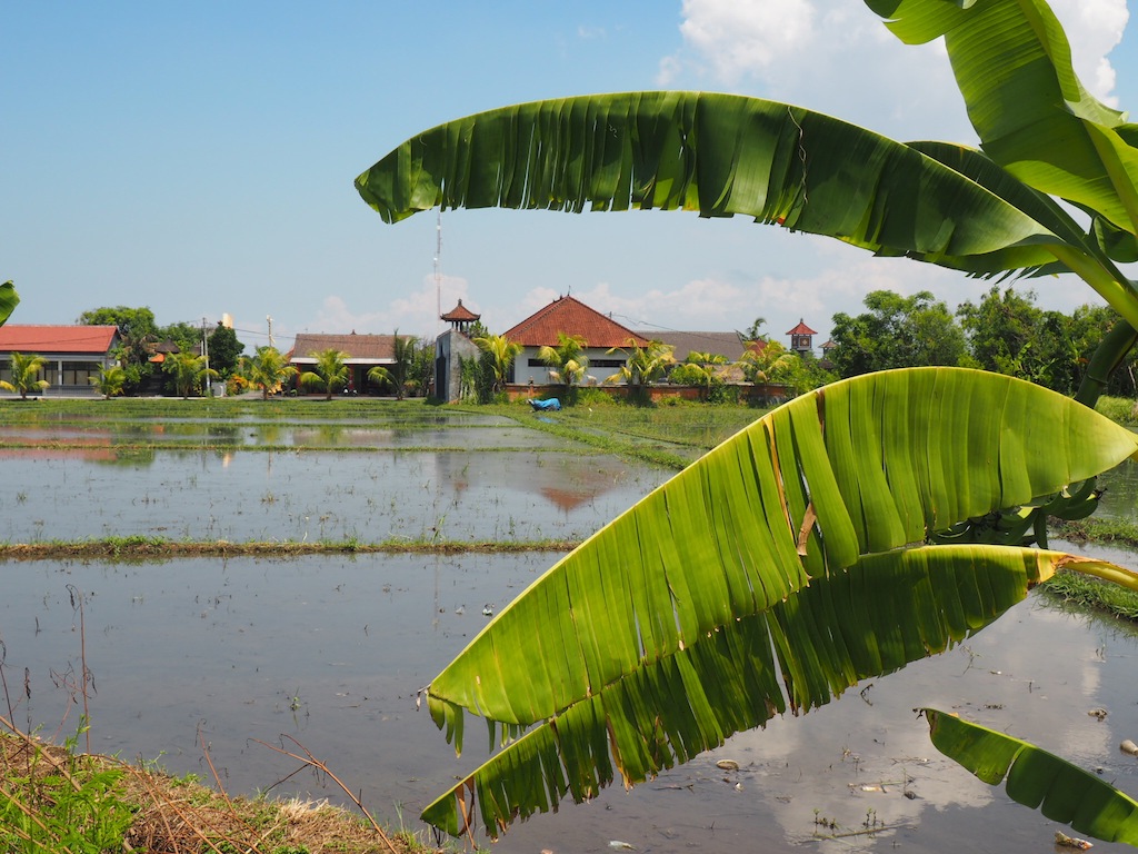 Canggu Bali