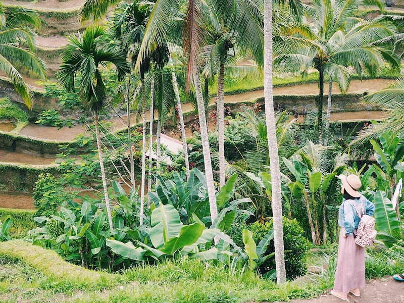 The famous rice terraces of Tegallalang