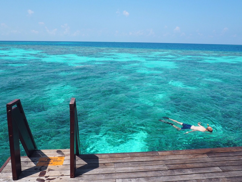 Snorkelling at Coco Bodu Hithi