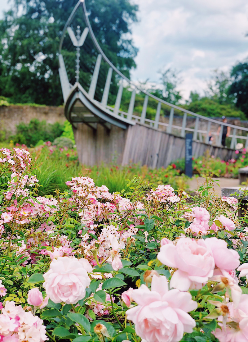 Savill Garden Windsor Great Park