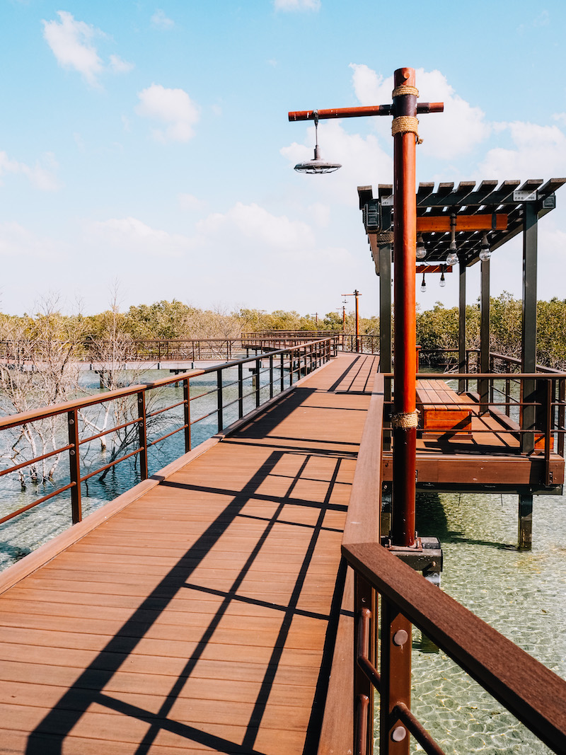 Jubail Mangrove Park Abu Dhabi