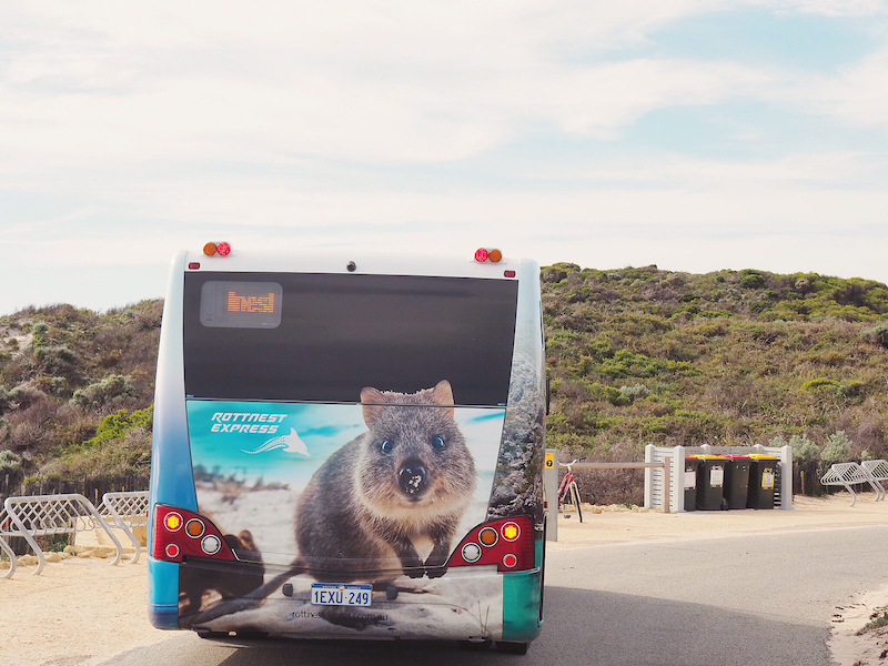 Island Explorer Bus Rottnest Island