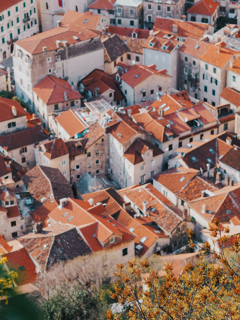 View of Kotor Old Town from city walls