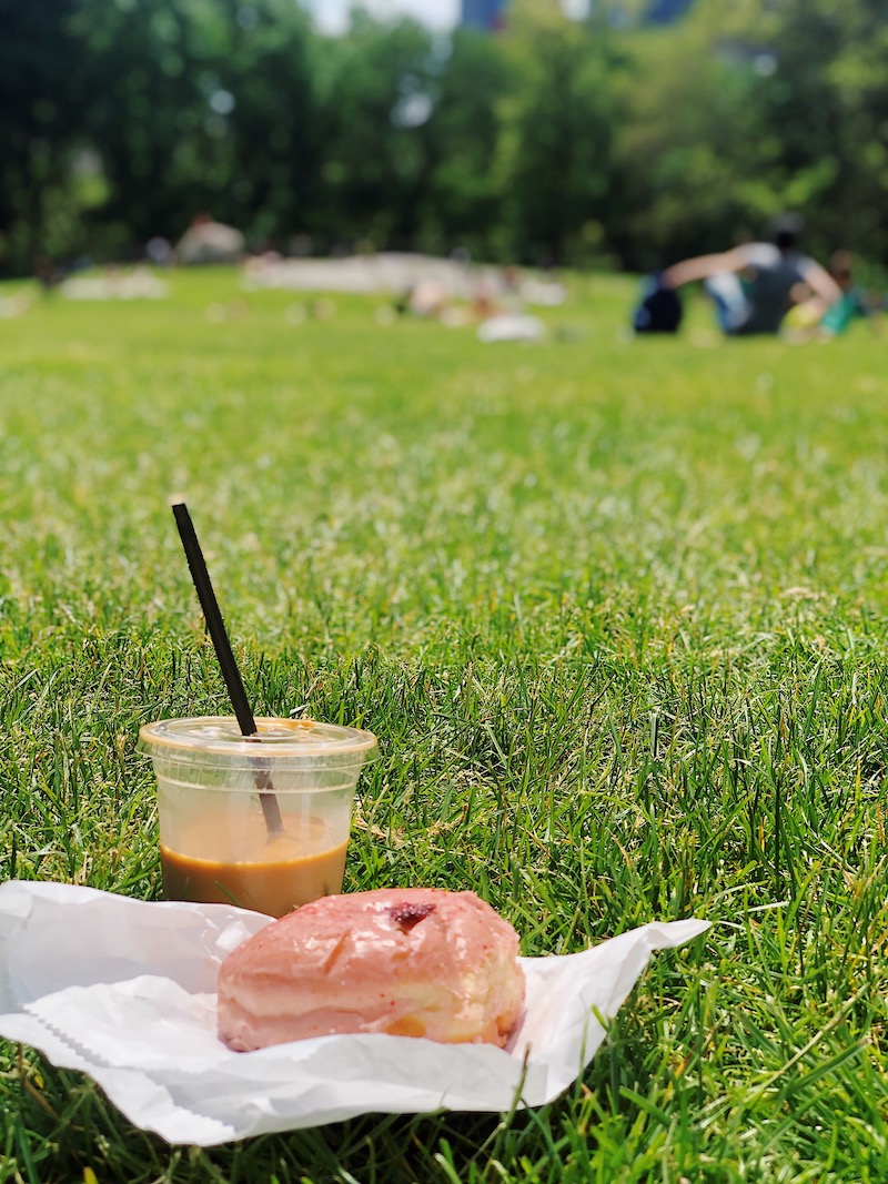 Doughnut in Central Park NYC