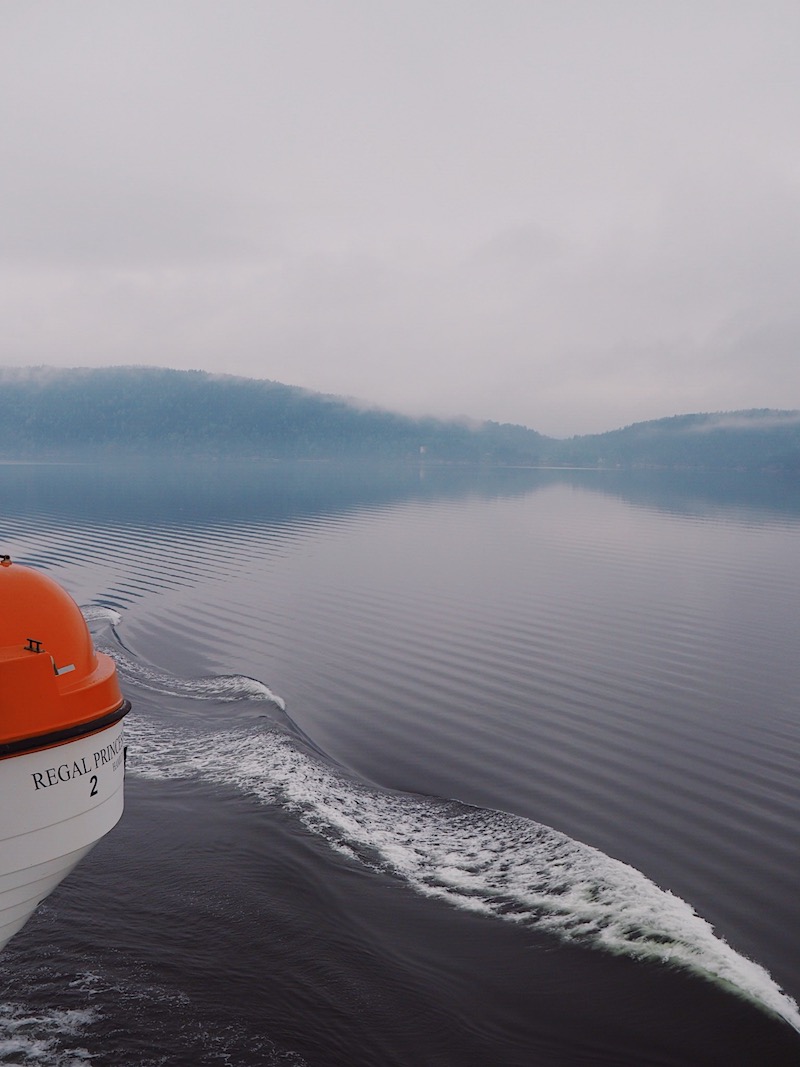 Sailing into Oslo on Regal Princess