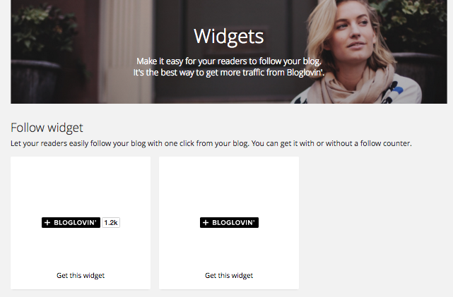 bloglovin widget