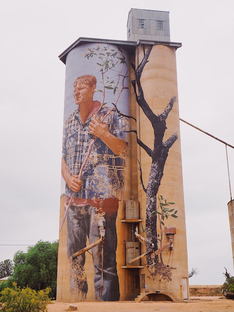 Patchewollock Silo by Fintan Magee - Silo Art Trail