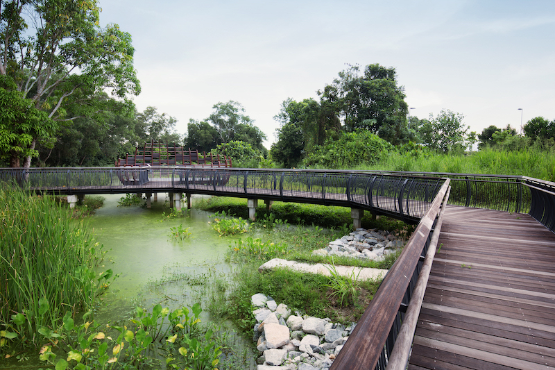 Sungei Buloh Wetland Reserve Photo by Marklin Ang