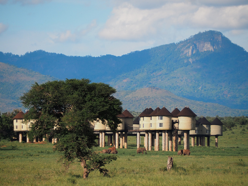 Salt Lick Safari Lodge Kenya