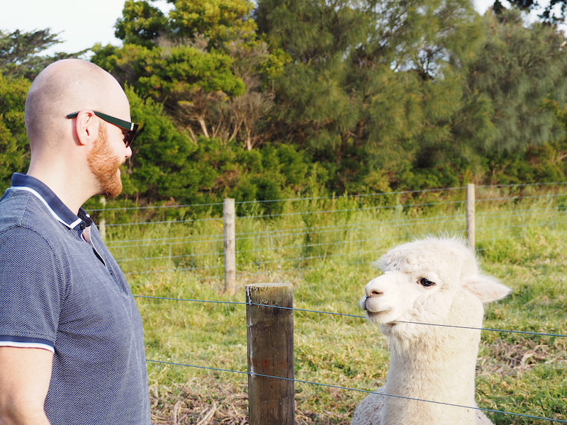 Where To Stay On Phillip Island – Bimbadeen Chic Eco Farm Retreat