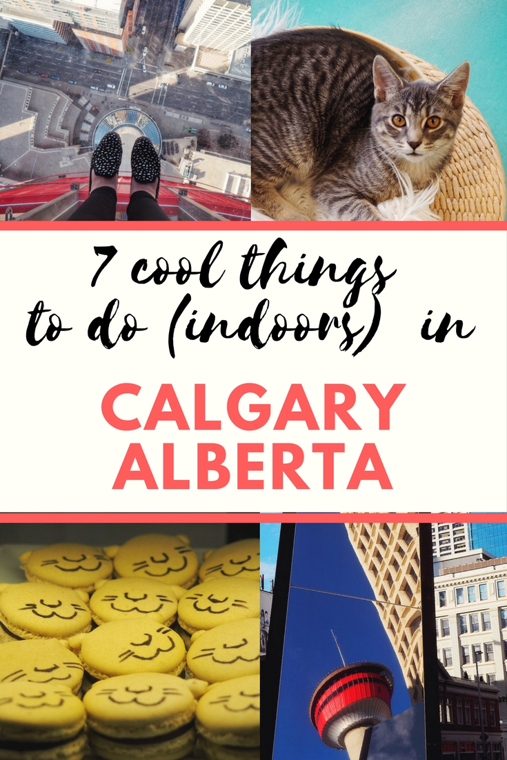 cool things to do indoors in Calgary Alberta