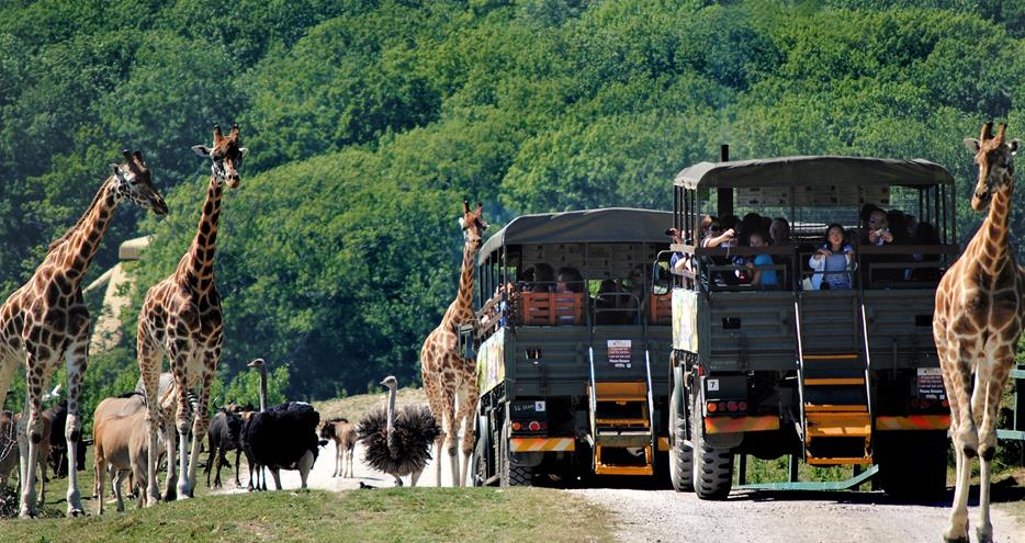 Port Lympne Hotel and Reserve - Best UK breaks for young families