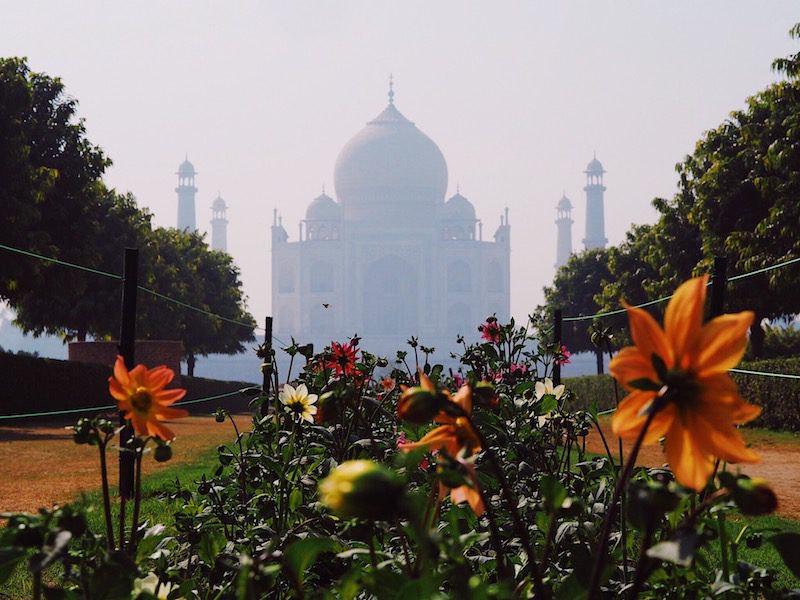 Photo of Taj Mahal from Mehtab Bagh