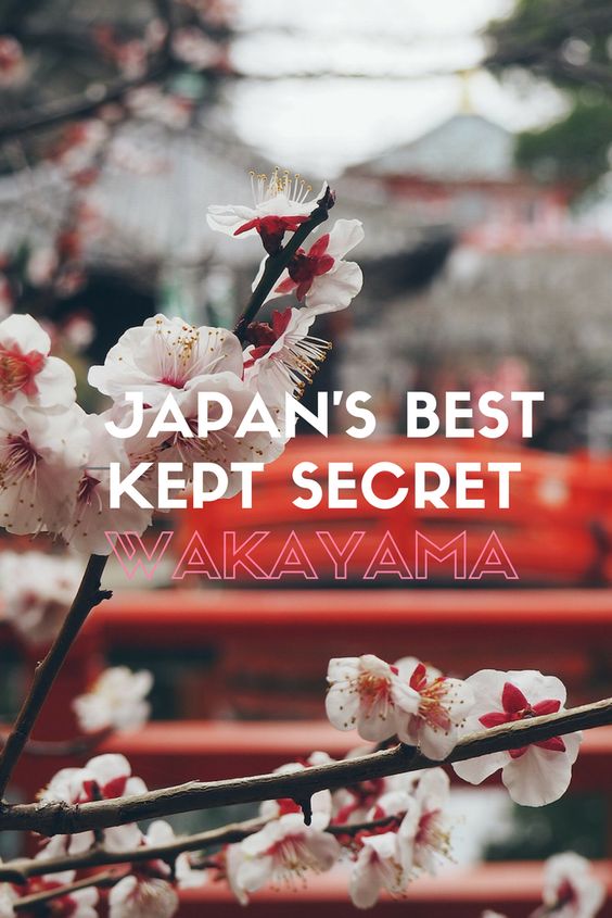 Japan's best kept secret: Wakayama