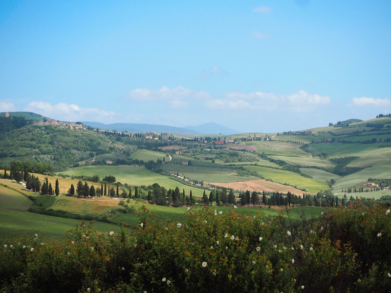 View of Val D'Orcia from Poggio Ai Gelsi